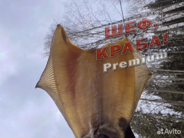 Ерш вяленый из Мурманска