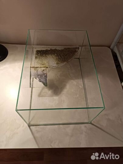 Террариум для черепахи