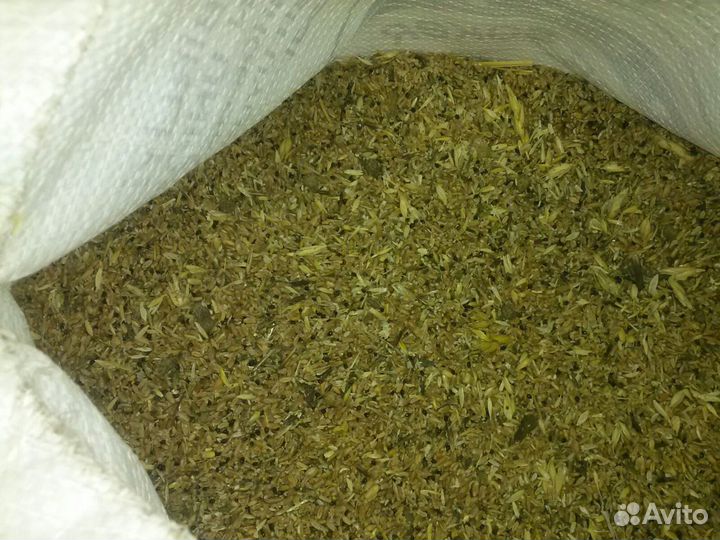 Разнотравье.Просо.Отсев.Дикорос.Семечки.Рапс