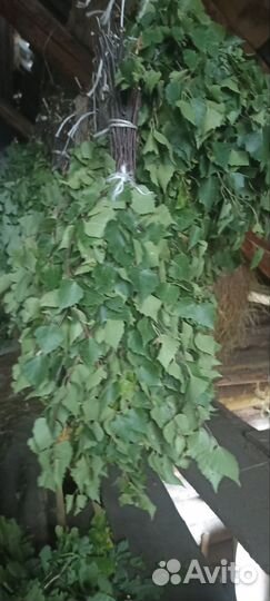 Дубовые веники