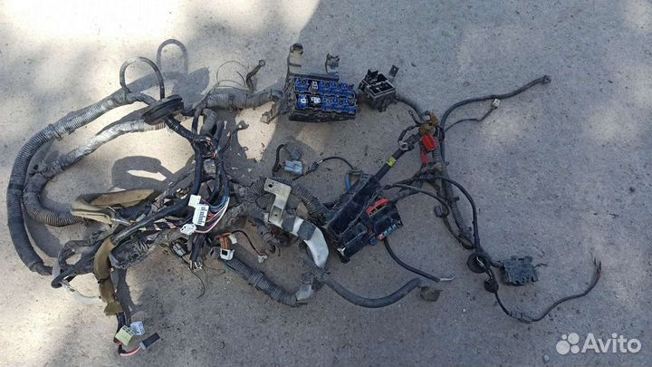 Электропроводка Ниссан Альмера Классик