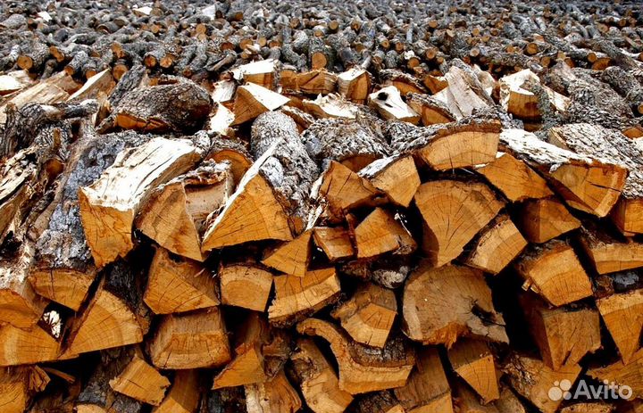 Дрова отборные