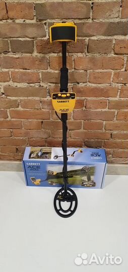 Металлоискатель Garrett ACE 200