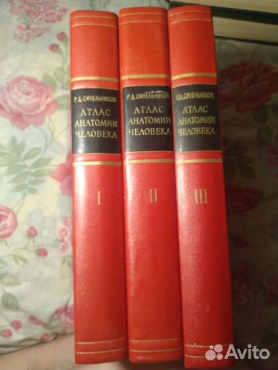 Атлас анатомии человека
