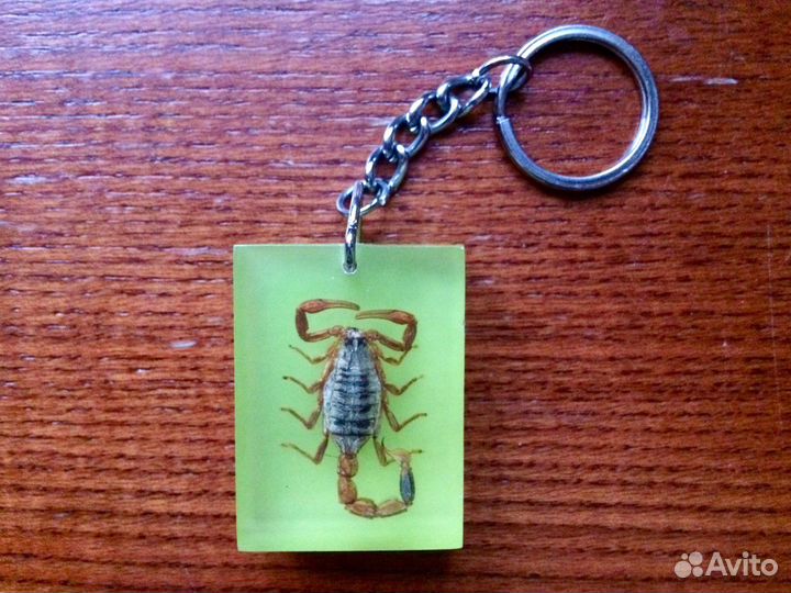 Брелок с настоящим скорпионом