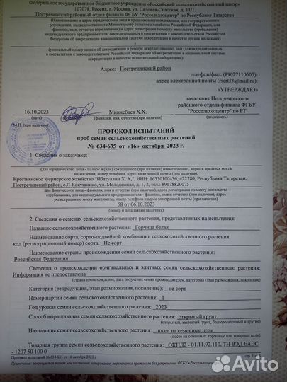 Горчица белая семена