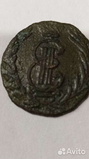 Полушка сибирская 1769 км