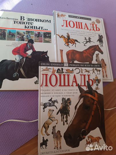 Книги о конном спорте