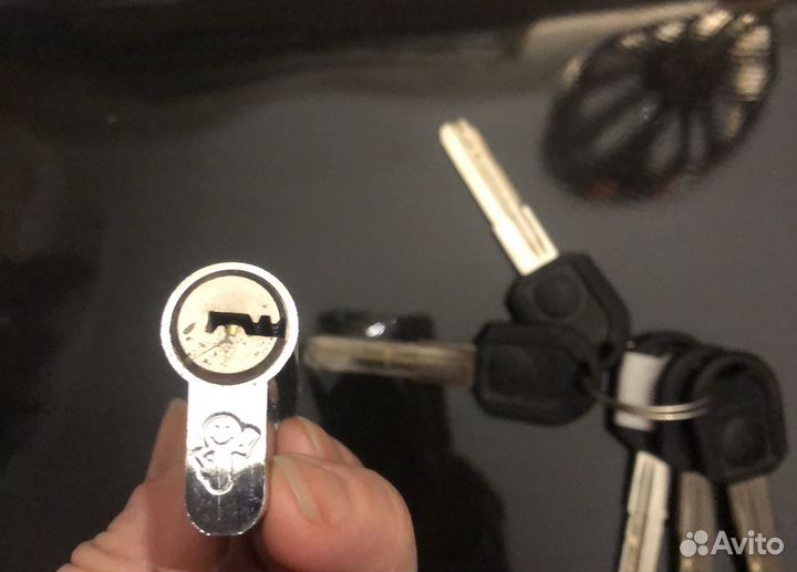 Дверная личинка