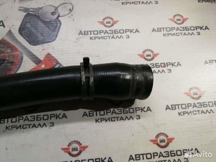 Патрубок радиатора Vw Passat b5 8D0121101K