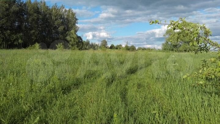 Участок 2,36 га (СНТ, ДНП)