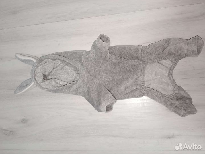 Одежда для собак мелких пород