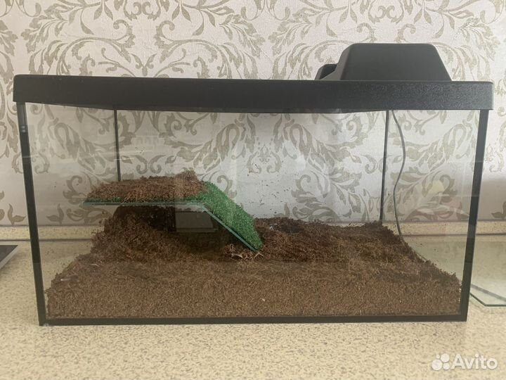 Террариум для рептилий бу