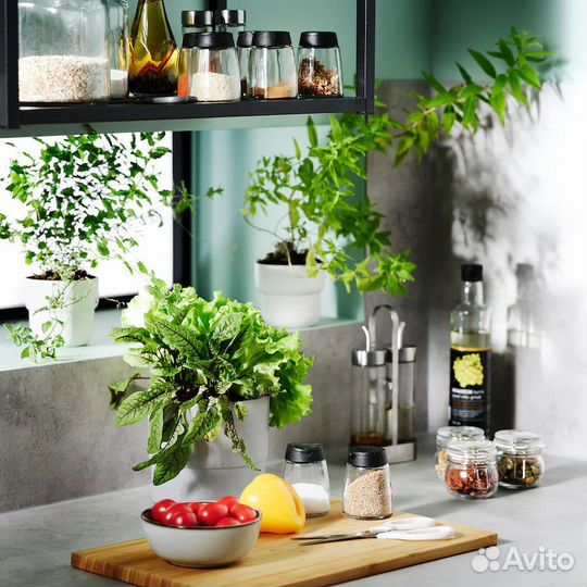 Банка для специй IKEA сыпучих продуктов кофе икеа