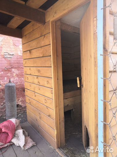 Вольер для собаки