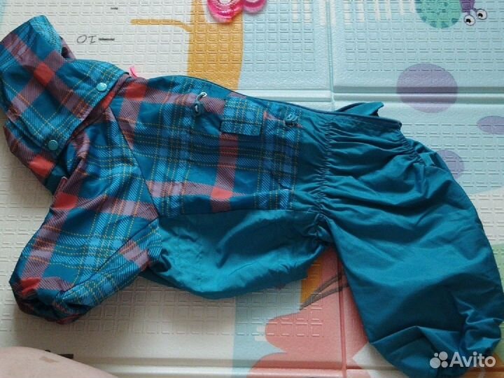 Одежда для средних собак