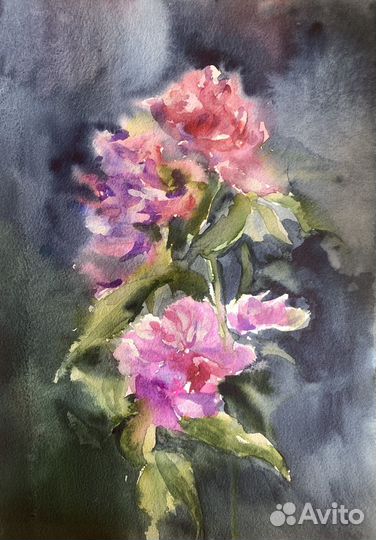 Пионы акварельная картина