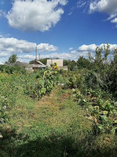 Участок 4,5 сот. (СНТ, ДНП)