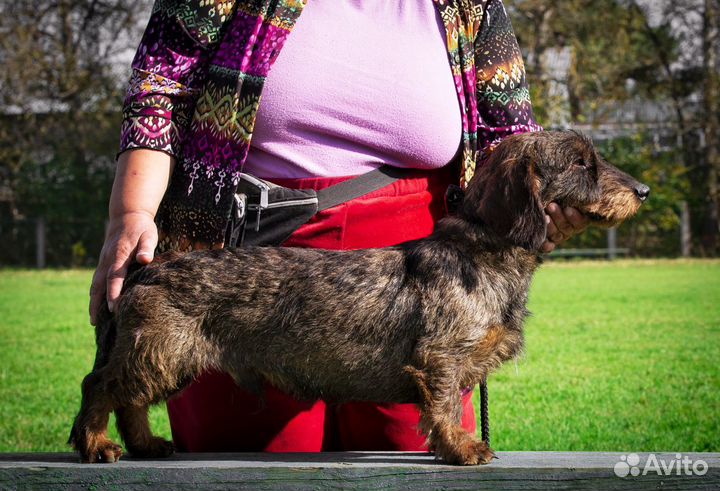 Ищем подружку