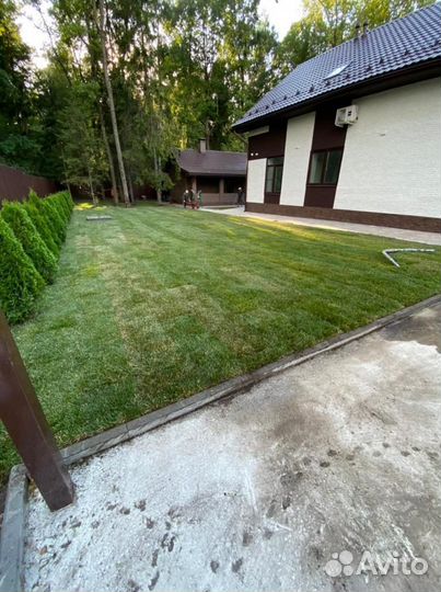 Рулонный газон