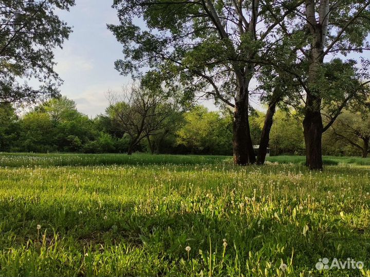 Отдых на природе с беседкой и мангалом