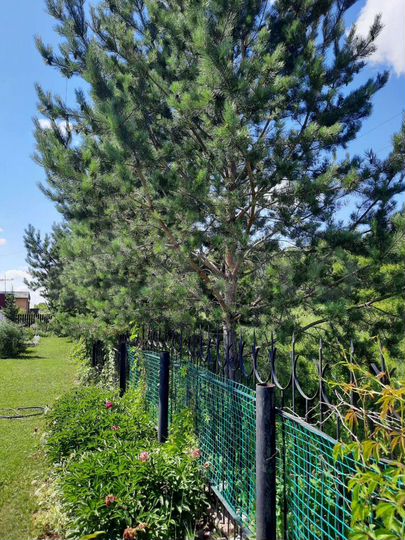 Дом 160 м² на участке 18 сот.