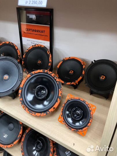 Динамики широкополосные эстрадные мидбас DL Audio