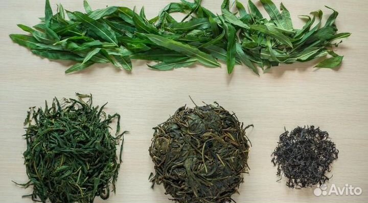 Иван чай с гор Алтая