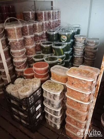 Соленья Рыба оптом