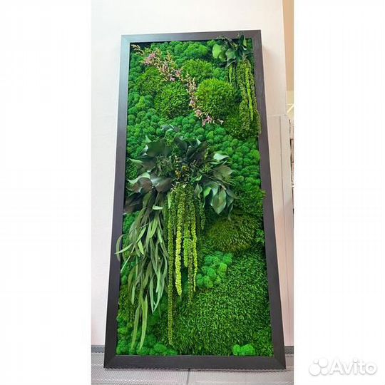 Фитокартина