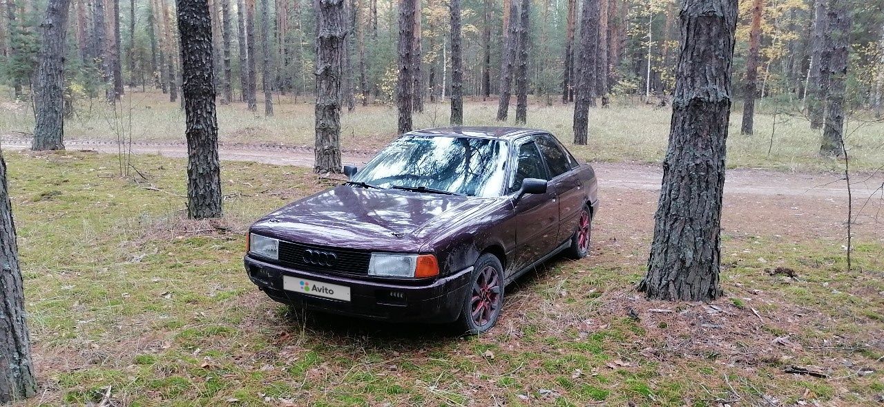Audi 80: фото владельца