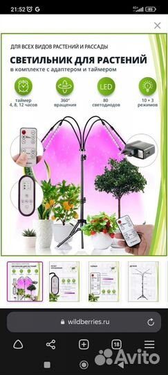 Фитолампа для растений