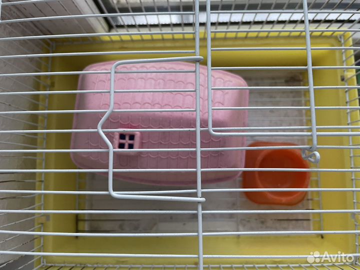 Клетка для грызунов Б/У