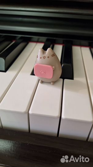 Pusheen cat, киндер Пушин кот (фигурки из Mega Sec