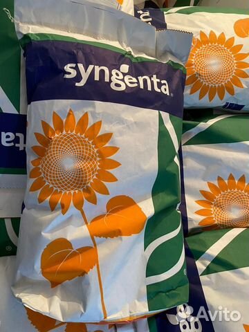 Семена подсолнечника неома