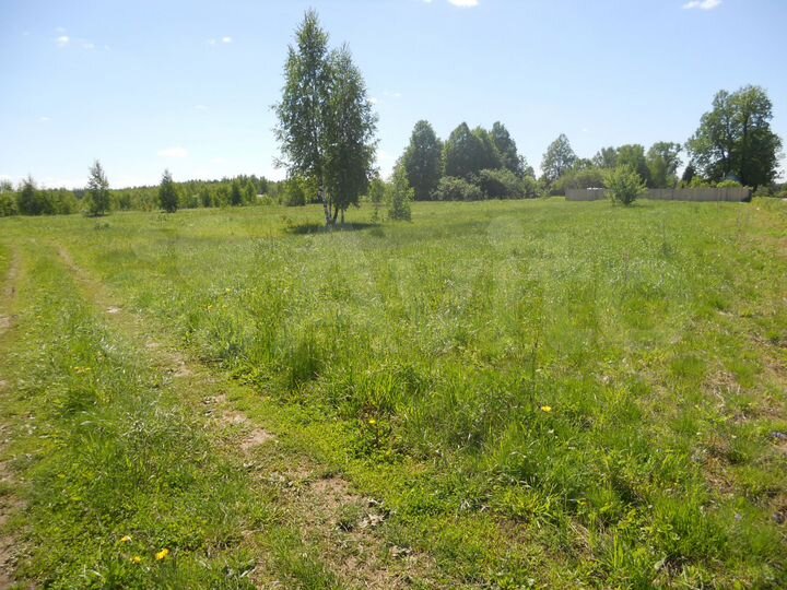 Участок 4 га (СНТ, ДНП)
