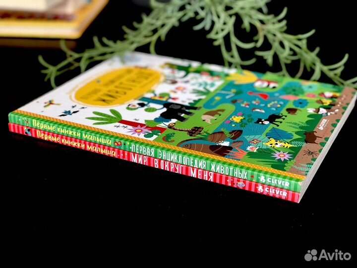 Первые книжки малыша Clever