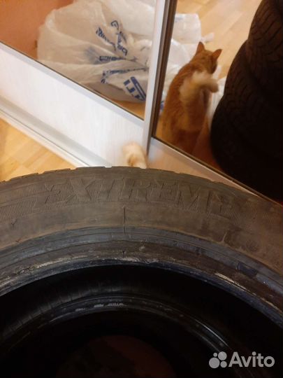 Extreme VR1 205/55 R16