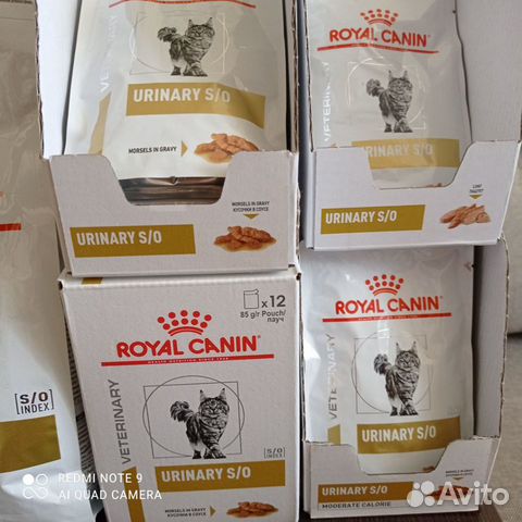 Влажный корм для кошек royal canin объявление продам