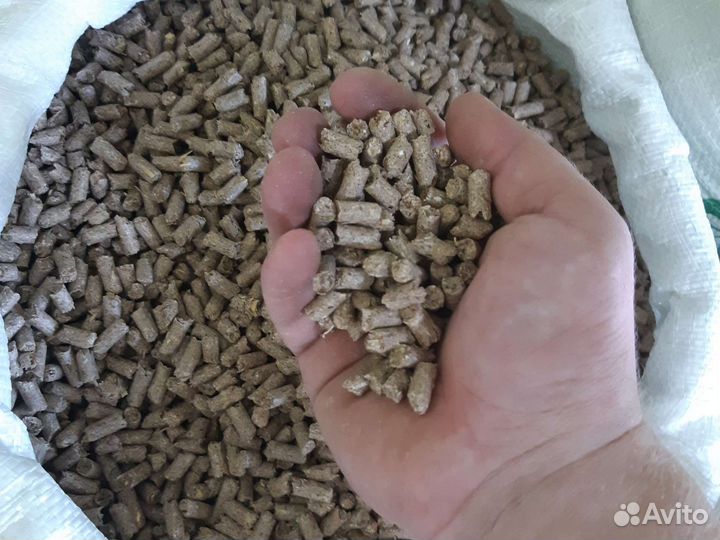 Прикормка для рыбалки