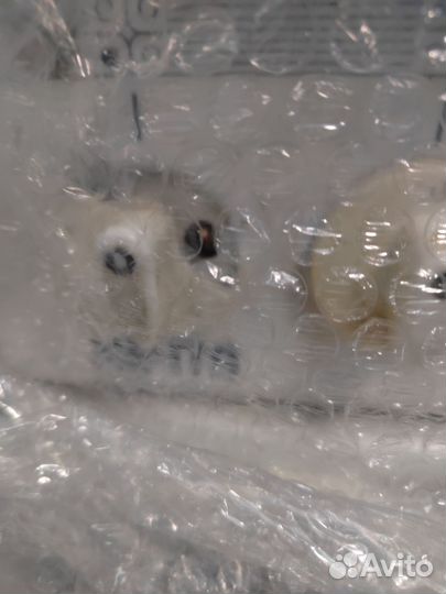 Плита электрическая мечта бу