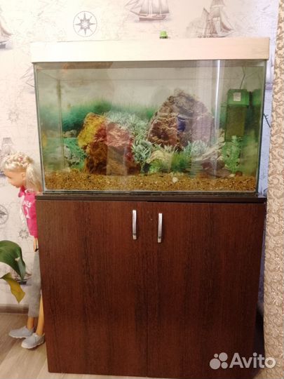Аквариум