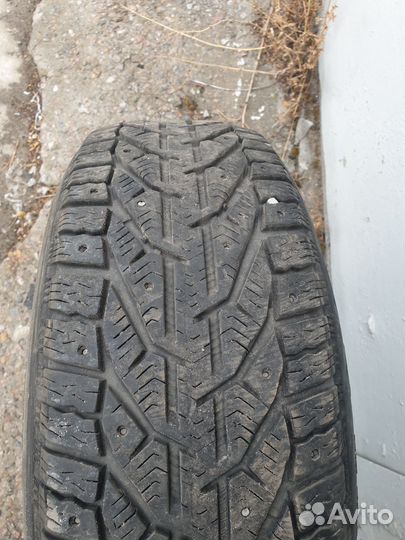 Tigar Ice 205/55 R16