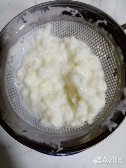 Кефирный грибок 2ч.л