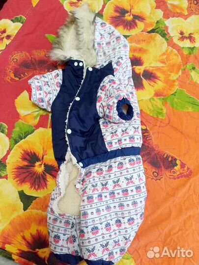 Комбинезон для собаки