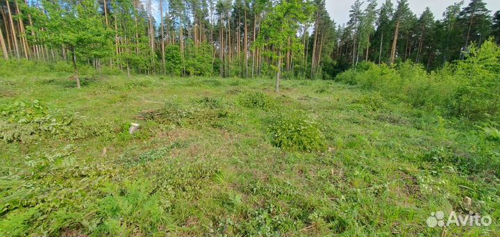 Расчистка участка,спил кустарников,выравнивание