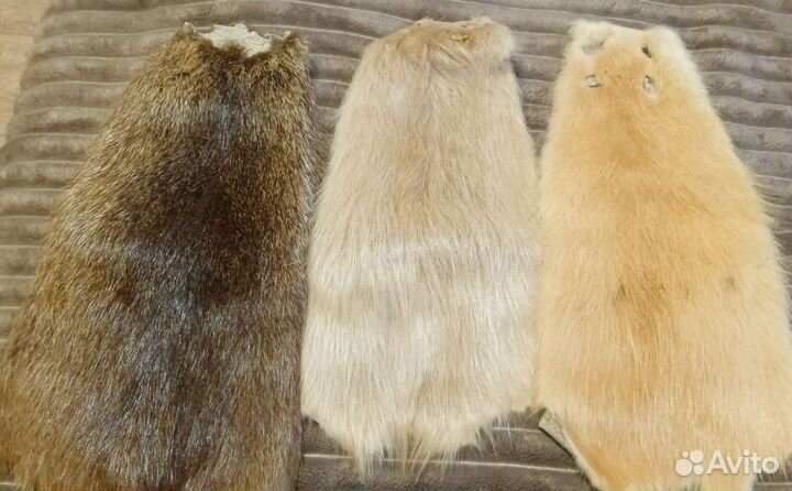 Шкурки нутрии