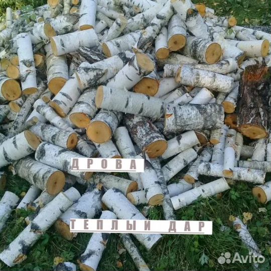 Дрова сухие
