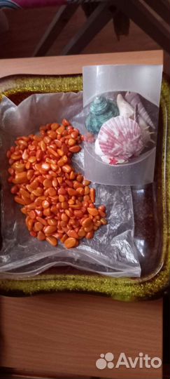 Камни и ракушки для аквариума