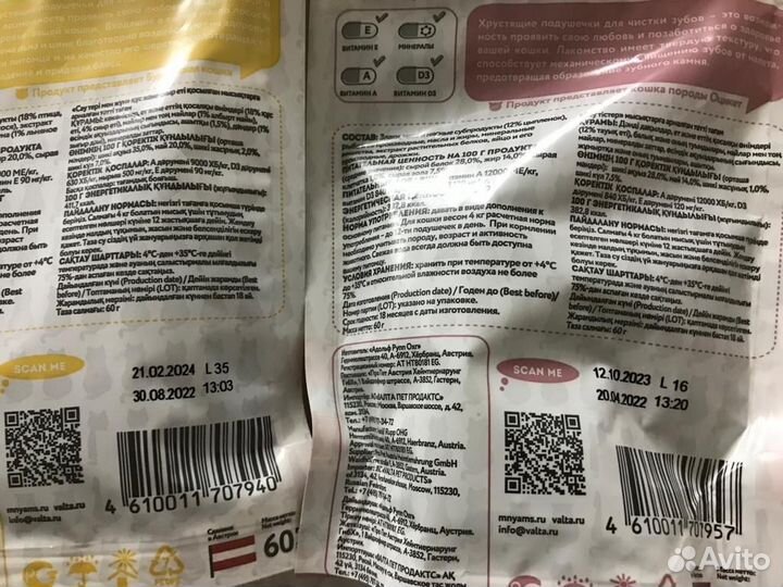 Кошачья мята